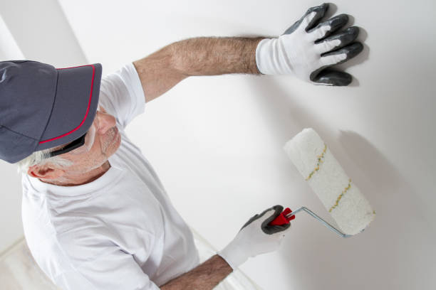 Best Mold Odor Removal Services  in South Daytona, FL