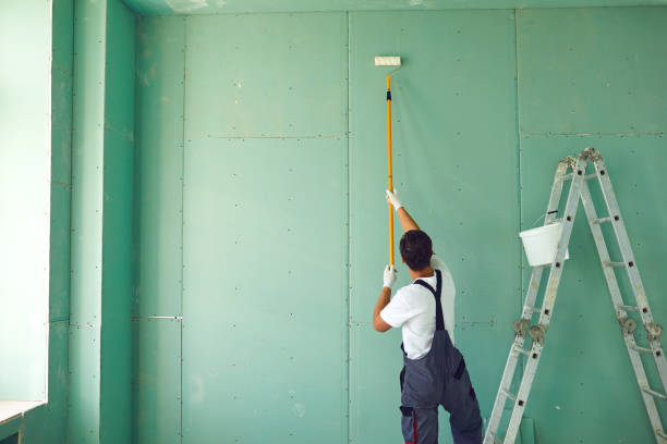 South Daytona, FL Mold Removal Company